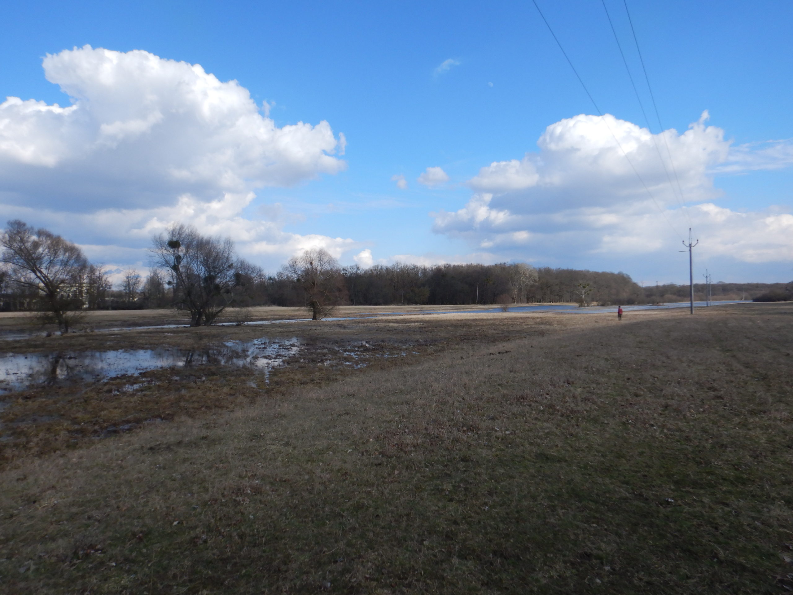 Povodňování – luh při soutoku Moravy a Dyje1 min čtení